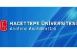 Hacettepe Üniversitesi Tıp Fakültesi Anatomi Anabilim Dalı